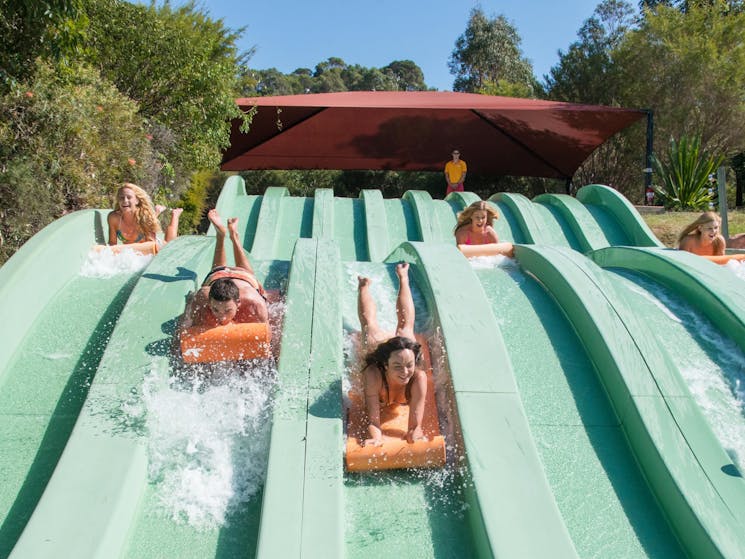 only at Jamberoo...where you control the action!