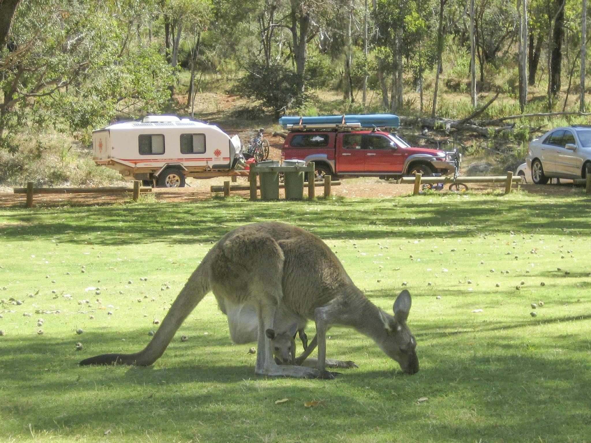 Serpentine, Western Australia