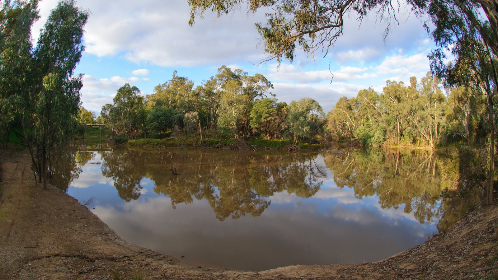 Gemmill Swamp Wildlife Reserve