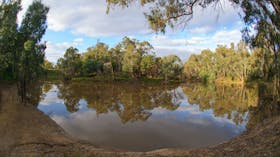 Gemmill Swamp