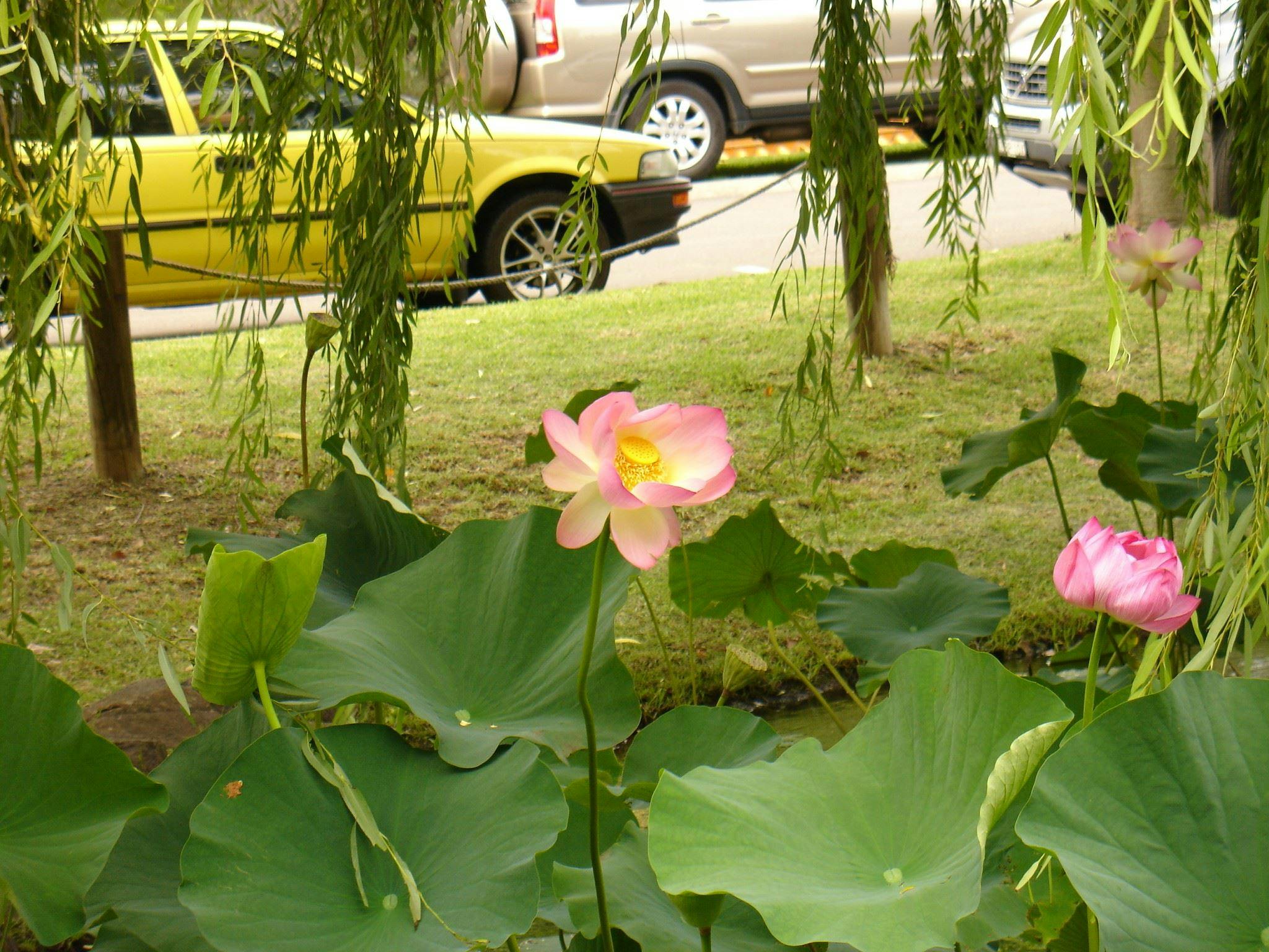 Nan Tien Buddhist Temple