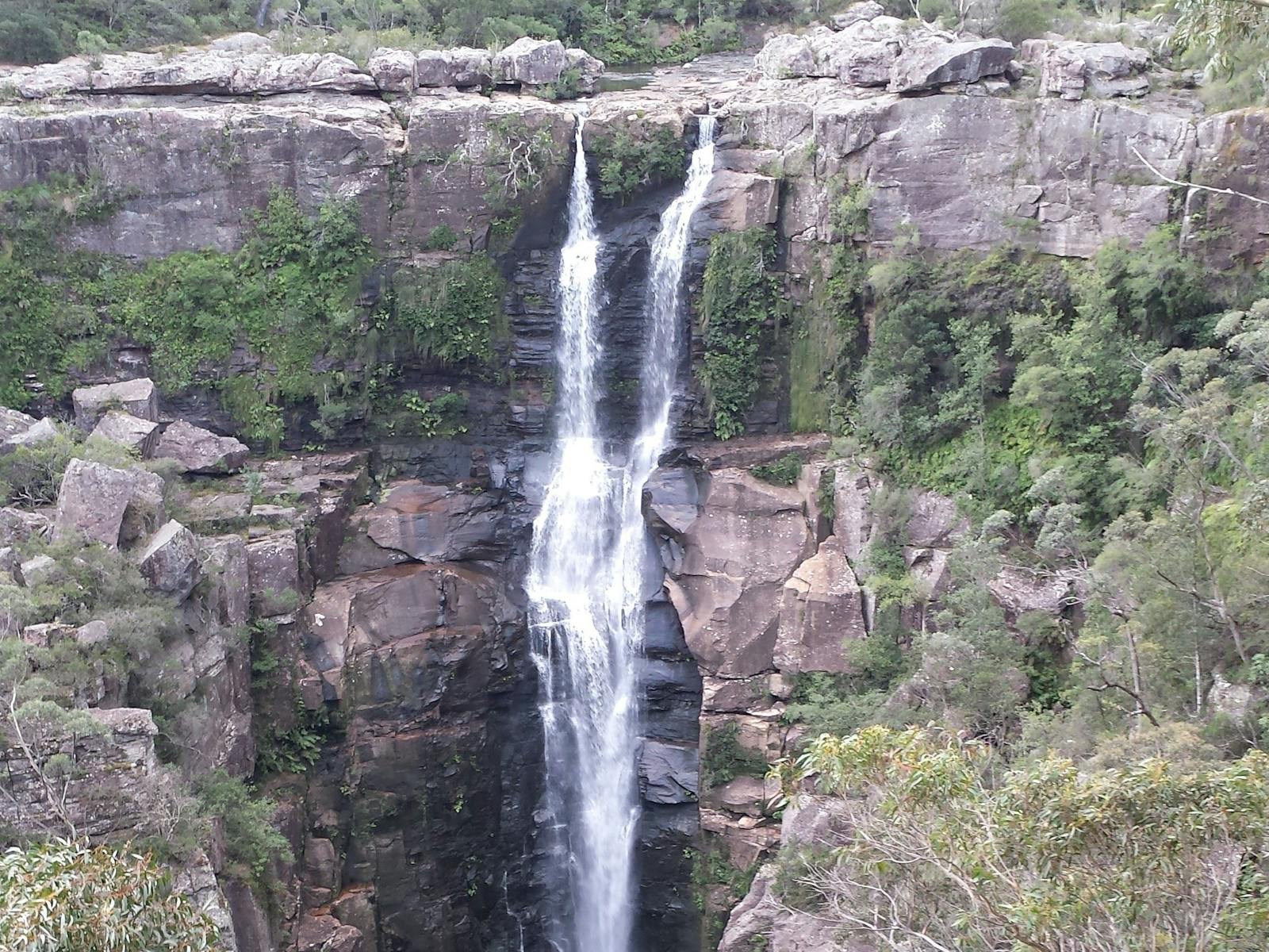 lookout at Carrington Falls