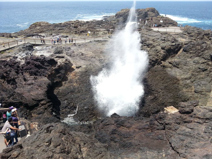 lookout at Kiama Blowhole