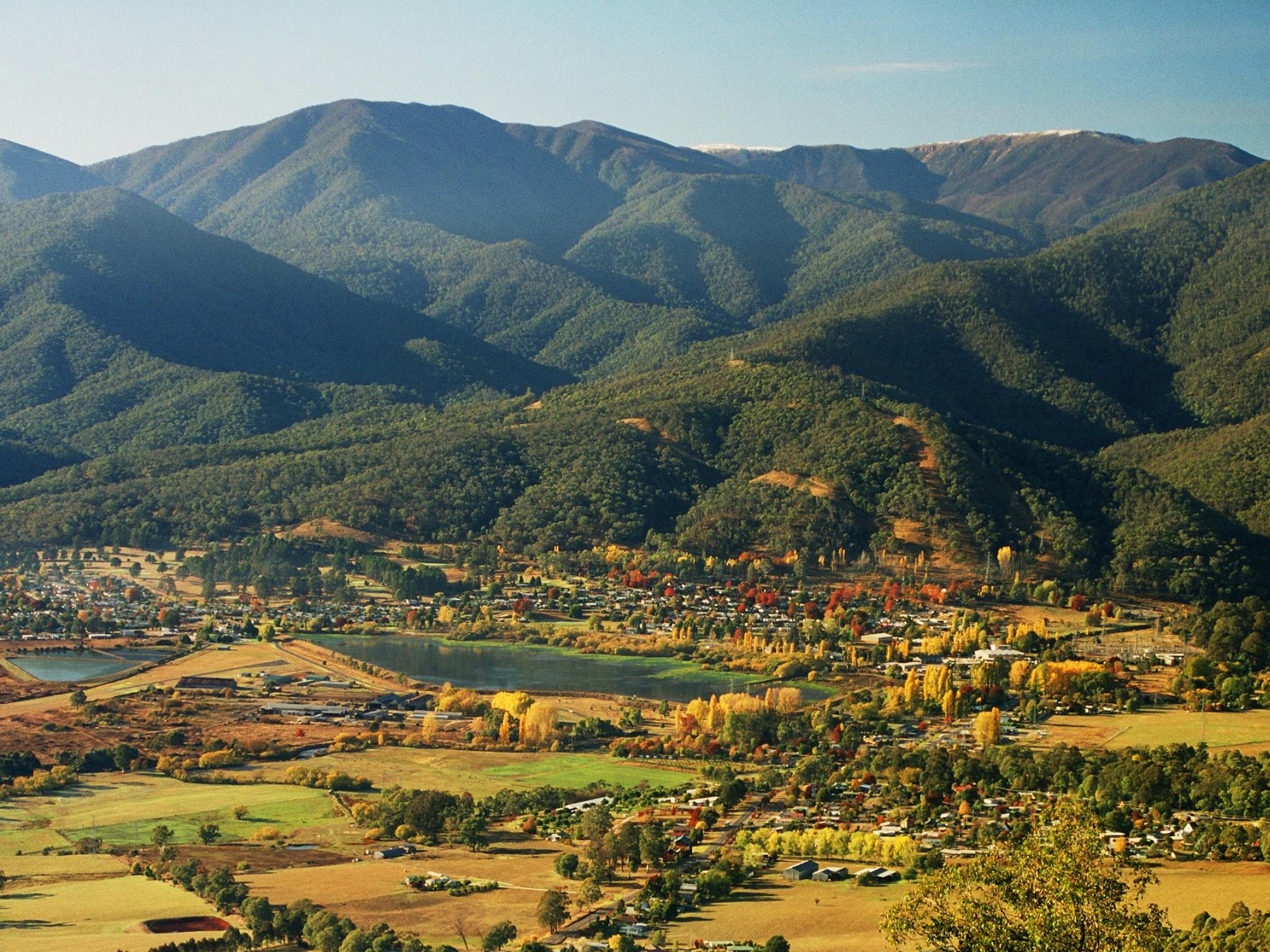 Mount Beauty Visitor Information Centre - Mount Beauty
