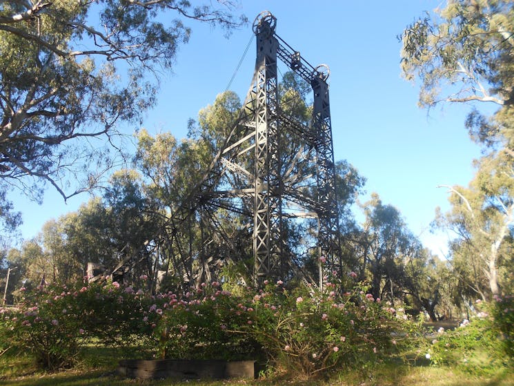 Darlington Point Riverside Caravan Park NSW Holidays & Things to Do