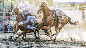 Gundagai Rodeo