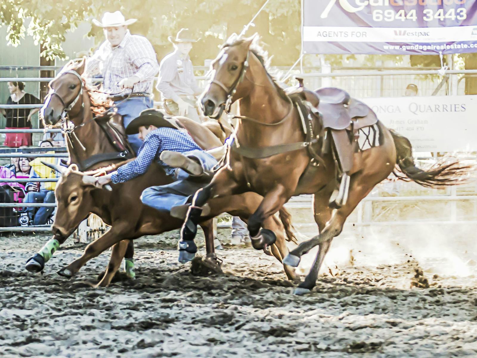 Image for Gundagai Rodeo