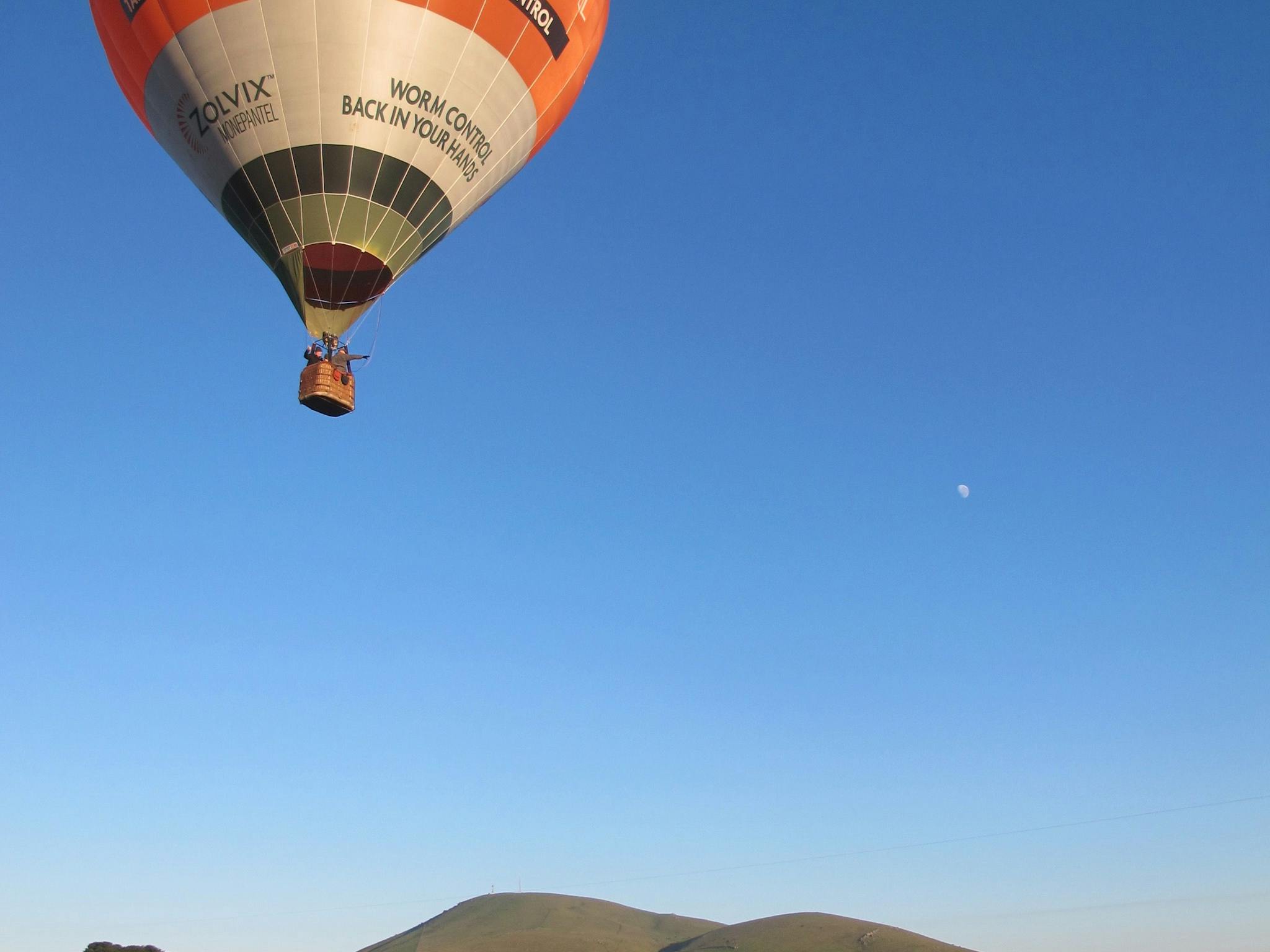 Hot air balloon launch at Daylesford