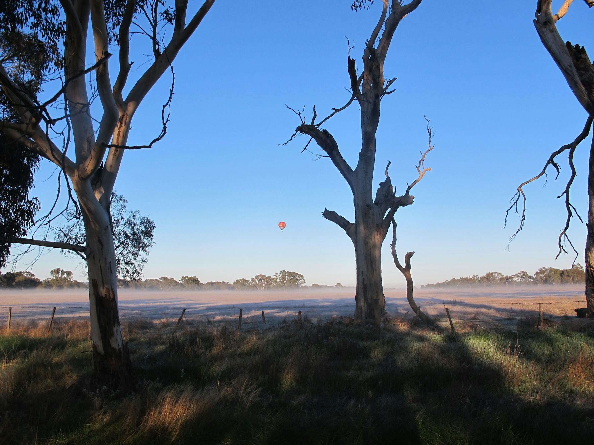 hot air balloon over Daylesford