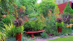 Out of Town Nursery and Humming Garden