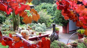Out of Town Nursery and Humming Garden