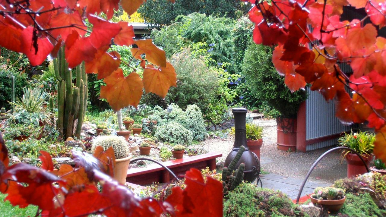 Out of Town Nursery and Humming Garden