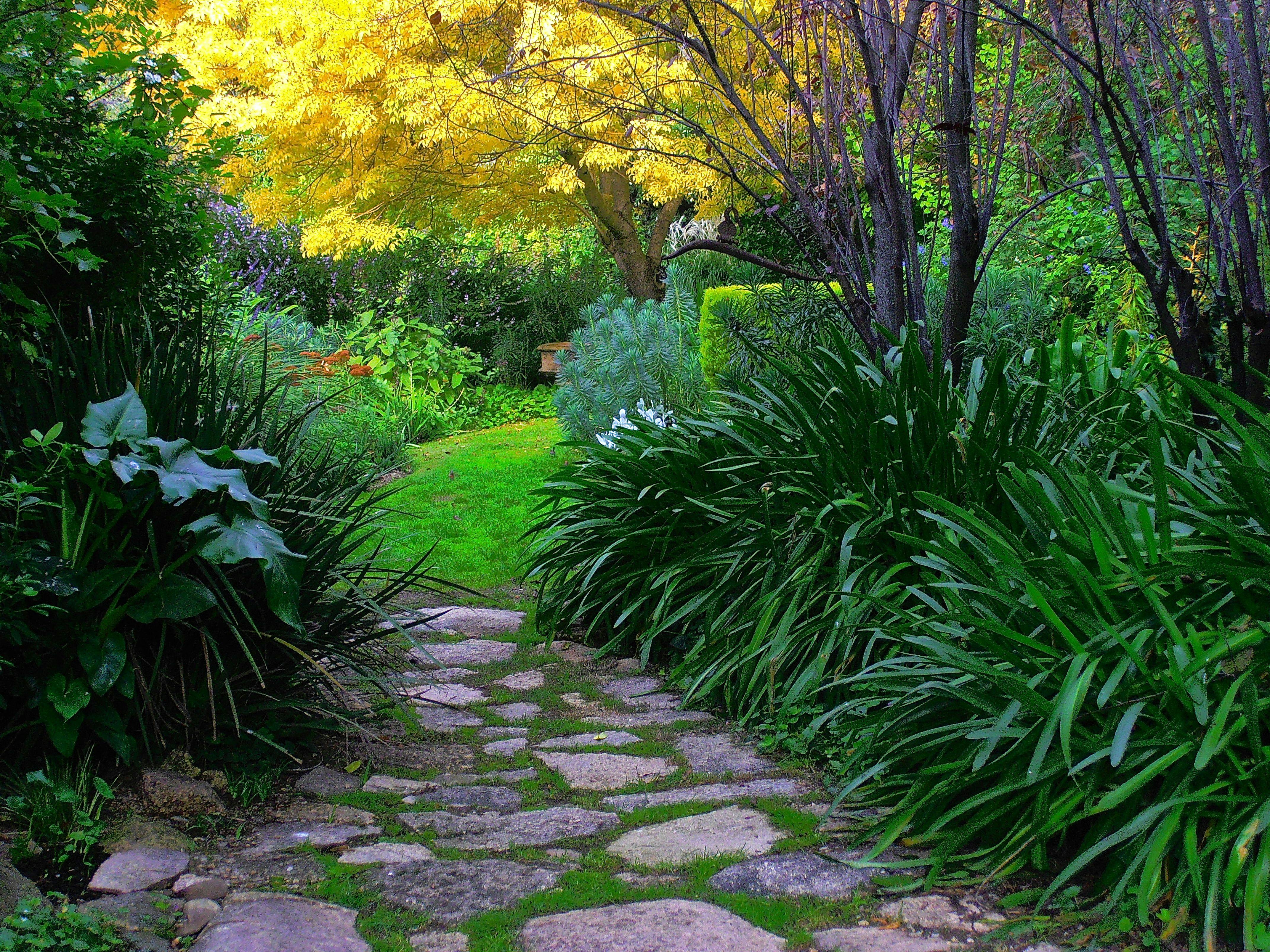 Out of Town Nursery and Humming Garden