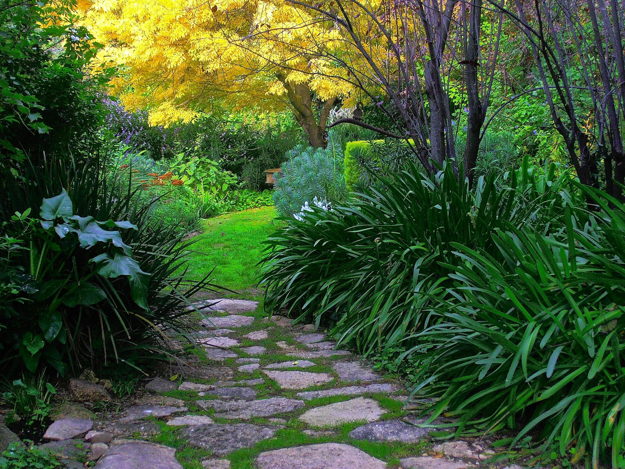 Out of Town Nursery and Humming Garden