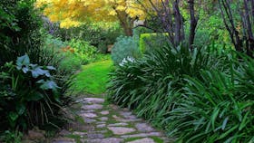 Out of Town Nursery and Humming Garden