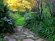 Out of Town Nursery and Humming Garden