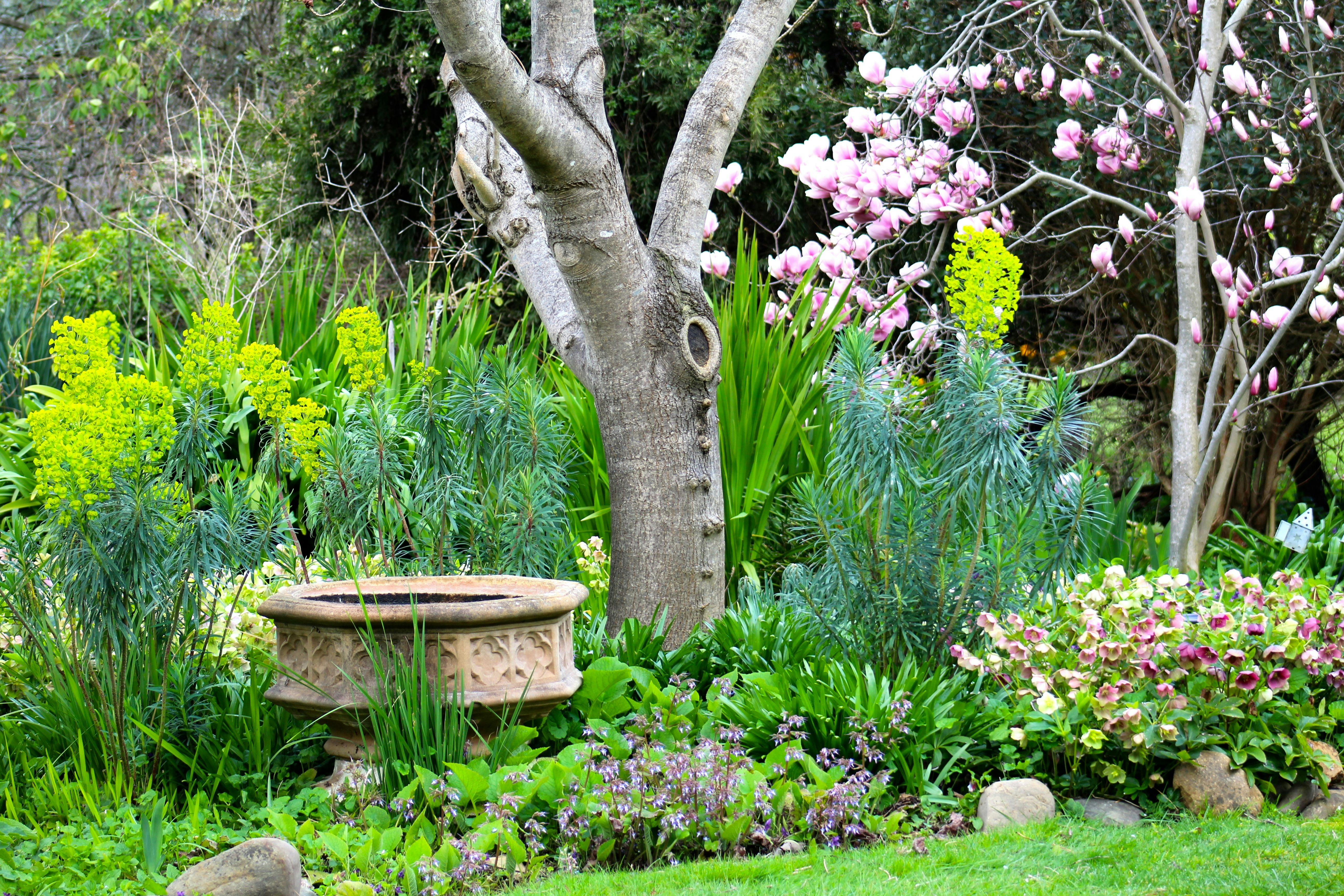 Out of Town Nursery and Humming Garden