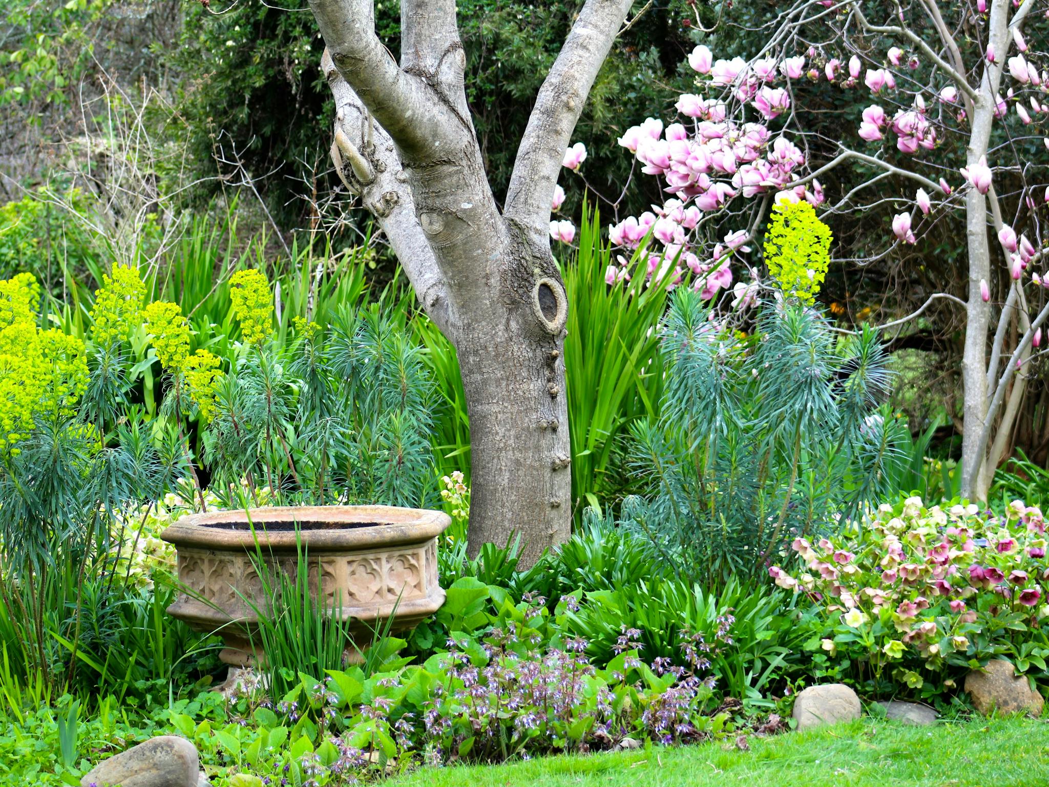 Out of Town Nursery and Humming Garden