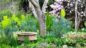 Out of Town Nursery and Humming Garden