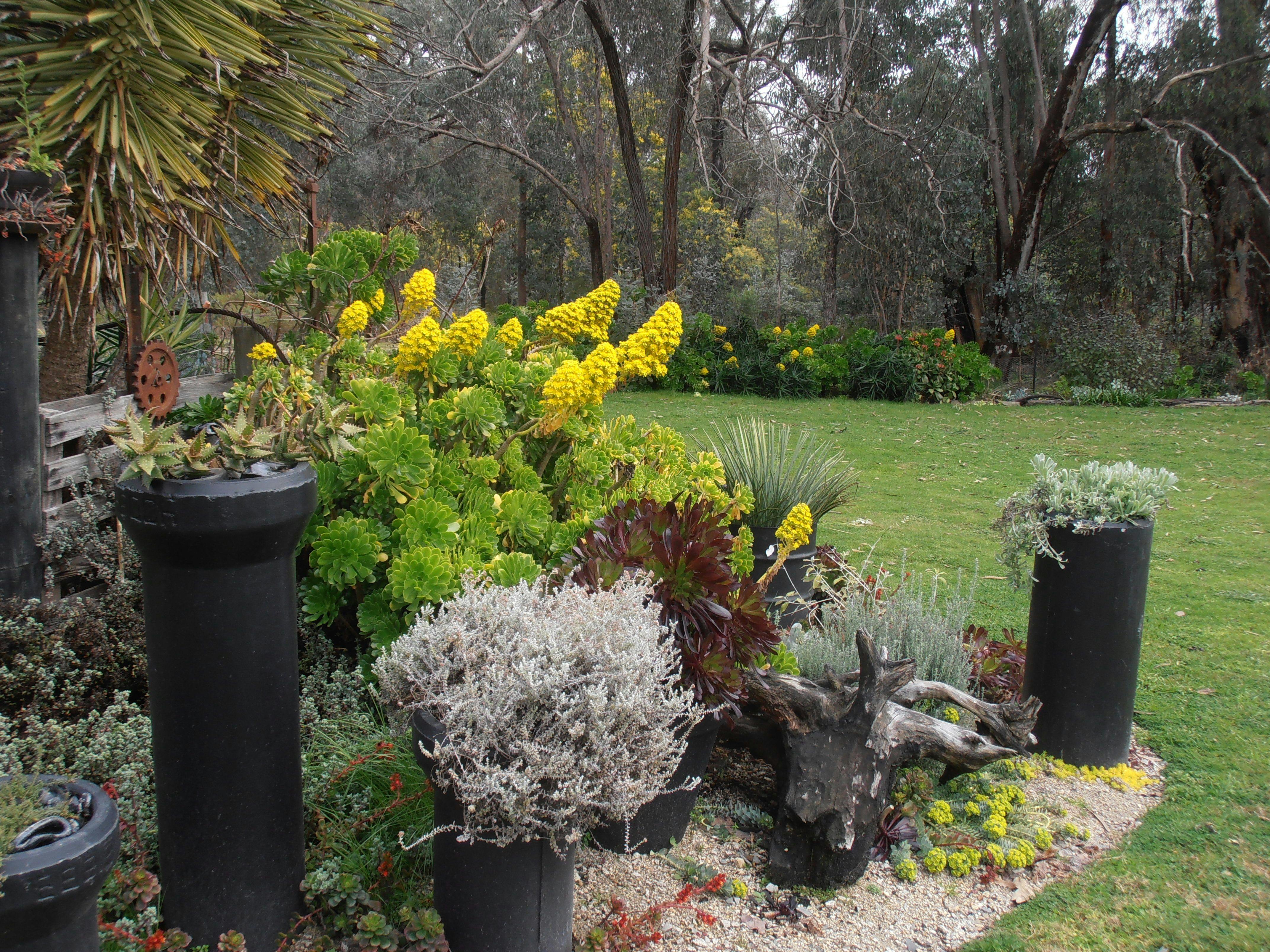 Out of Town Nursery and Humming Garden