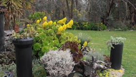 Out of Town Nursery and Humming Garden