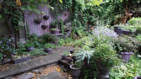 Out of Town Nursery and Humming Garden
