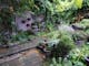 Out of Town Nursery and Humming Garden