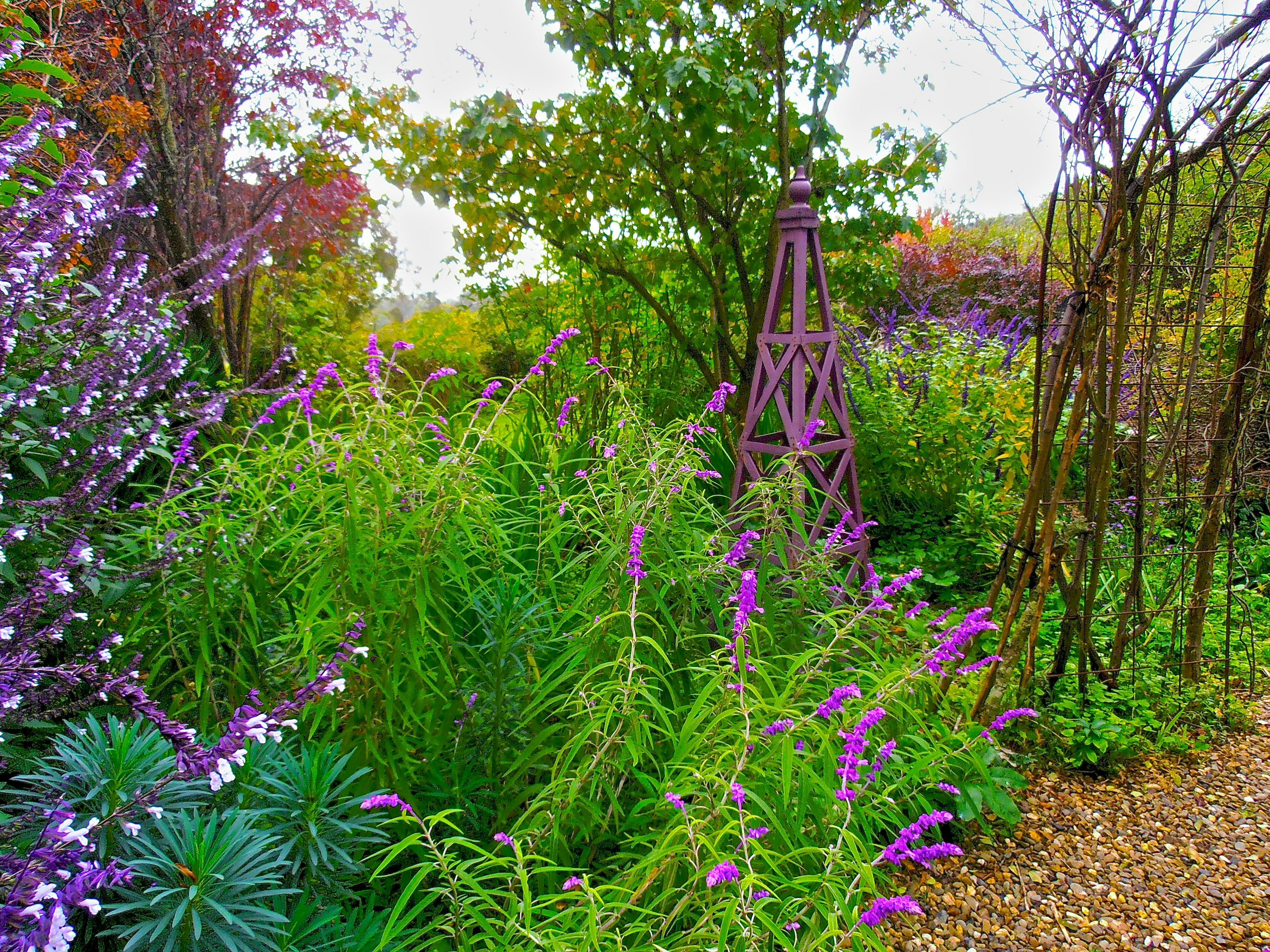 Out of Town Nursery and Humming Garden