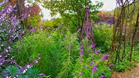 Out of Town Nursery and Humming Garden