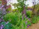 Out of Town Nursery and Humming Garden
