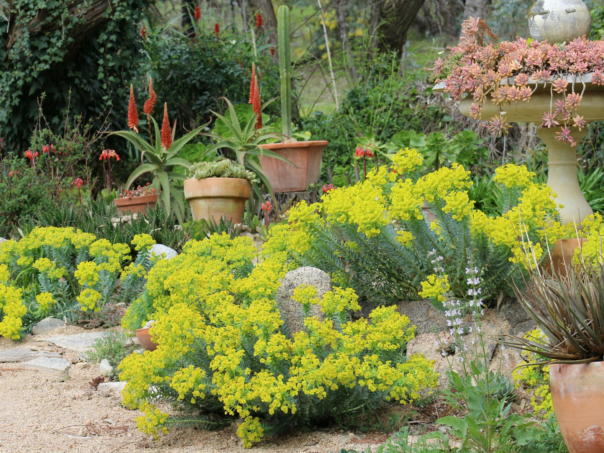 Out of Town Nursery and Humming Garden