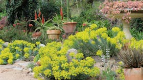 Out of Town Nursery and Humming Garden