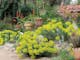 Out of Town Nursery and Humming Garden