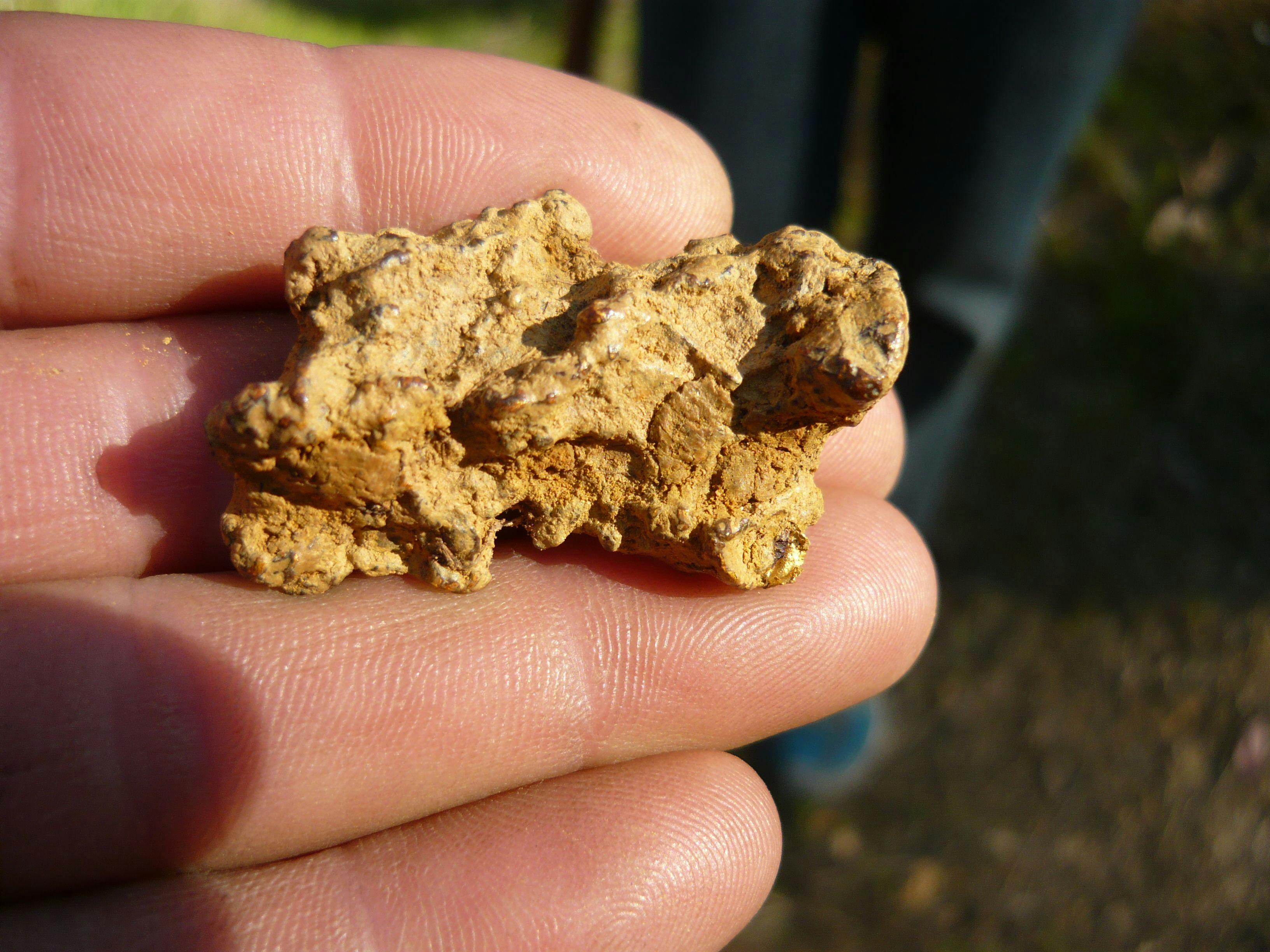 Two Day Gold Prospecting Adventure