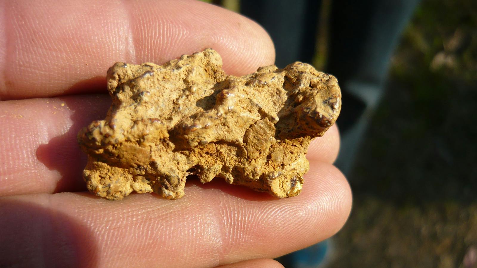 Gold nugget, gold prospecting adventure tour