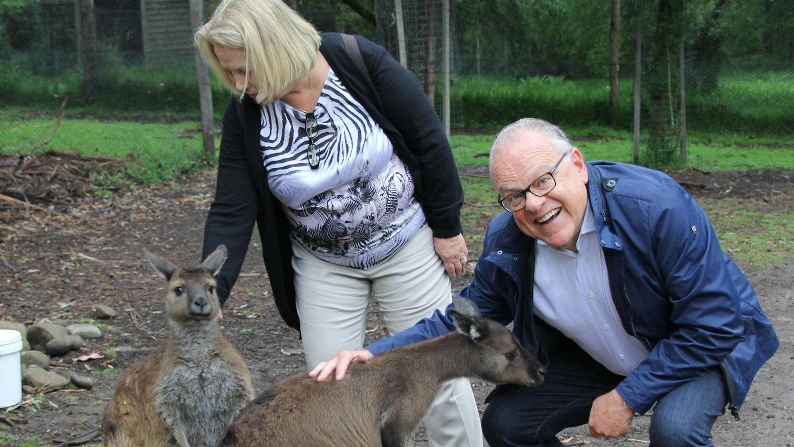 Patting wallabies