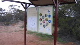 Tamma Parkland, Merredin, Western Australia
