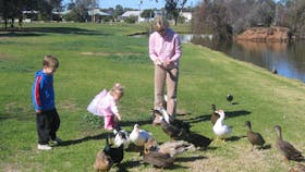 Roy Little Park Merredin