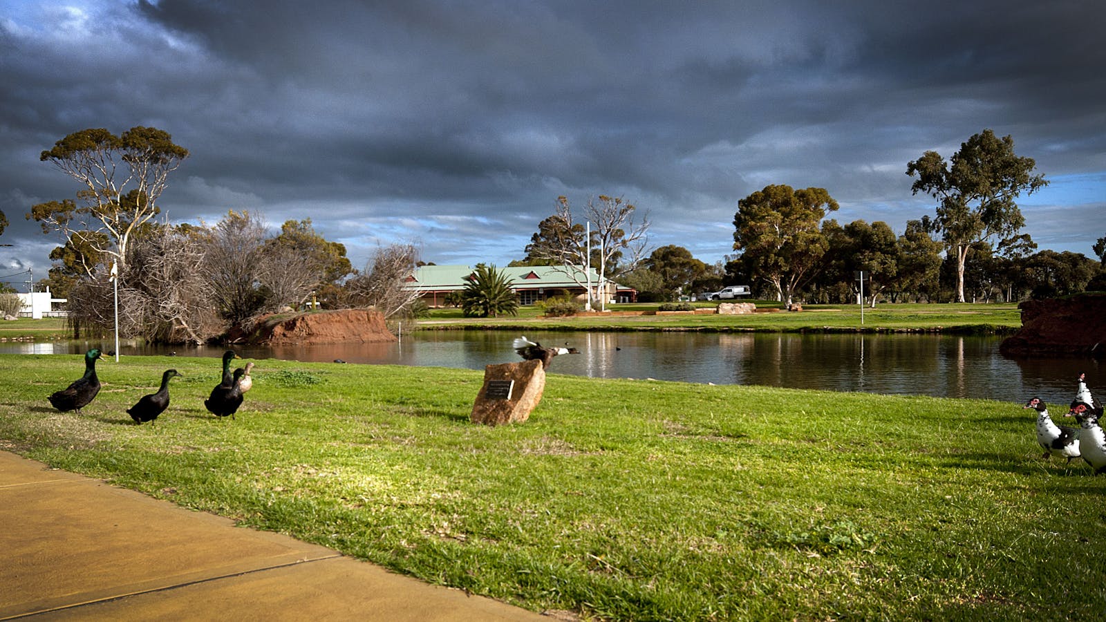 Roy Little Park Merredin