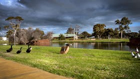 Roy Little Park Merredin