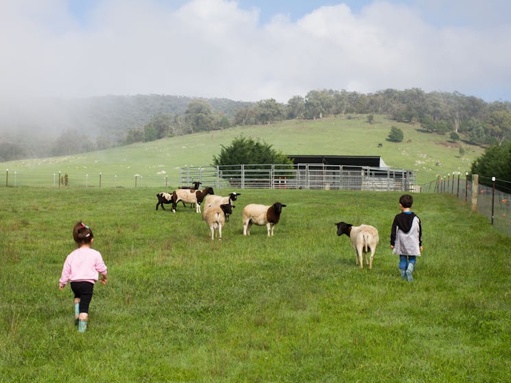 Towrang Farmstay