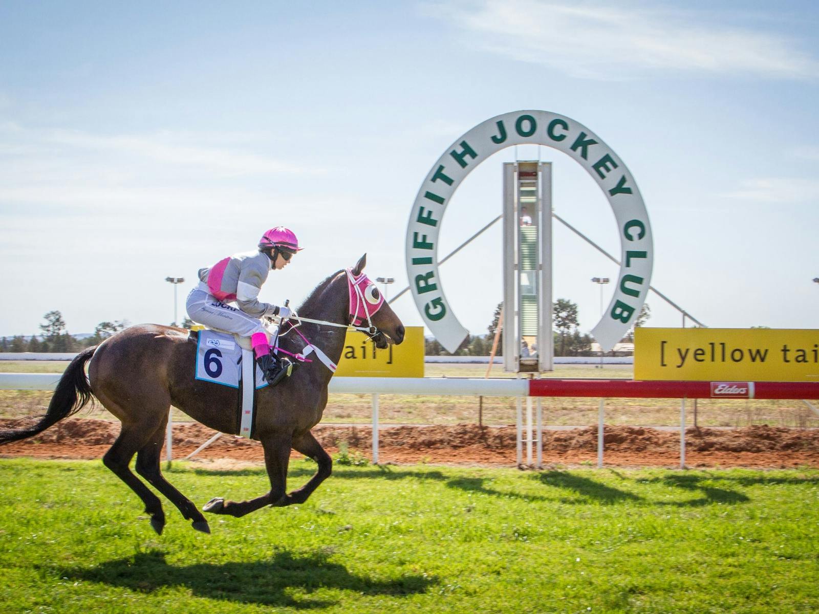 Image for Griffith Cup