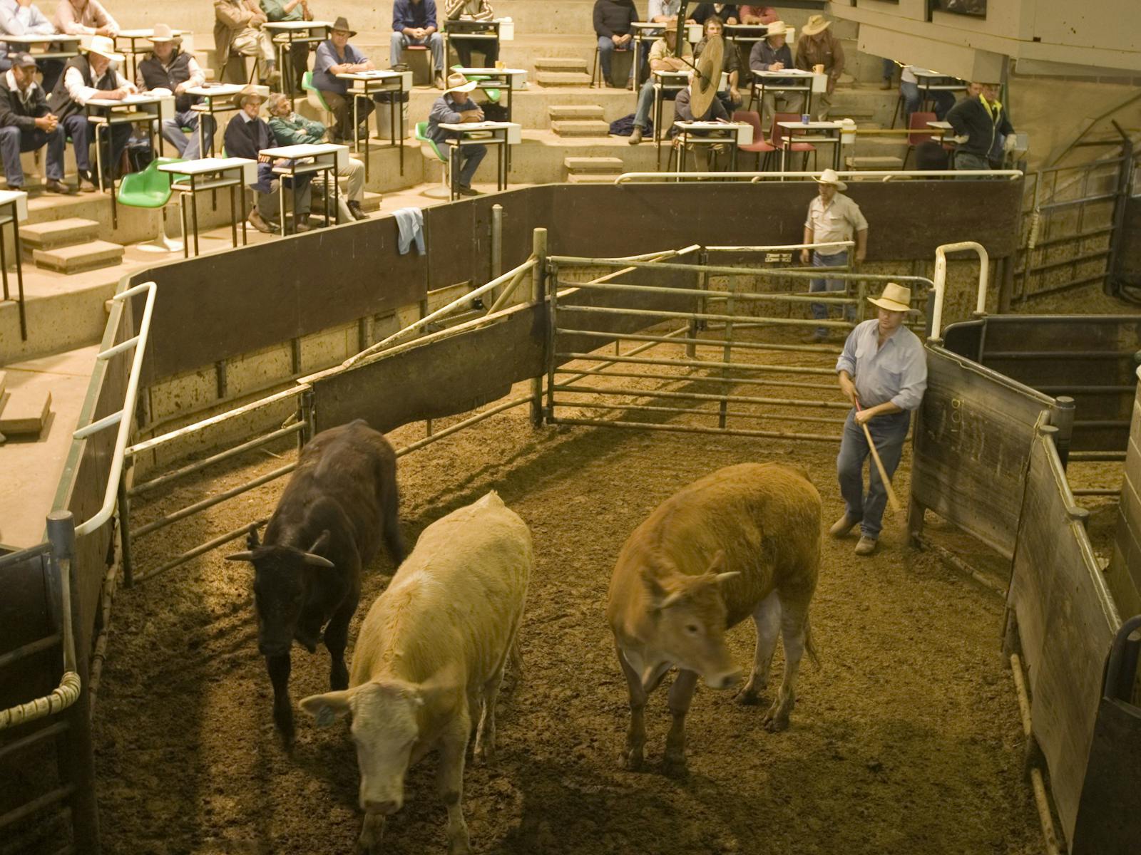Livestock Marketing Centre