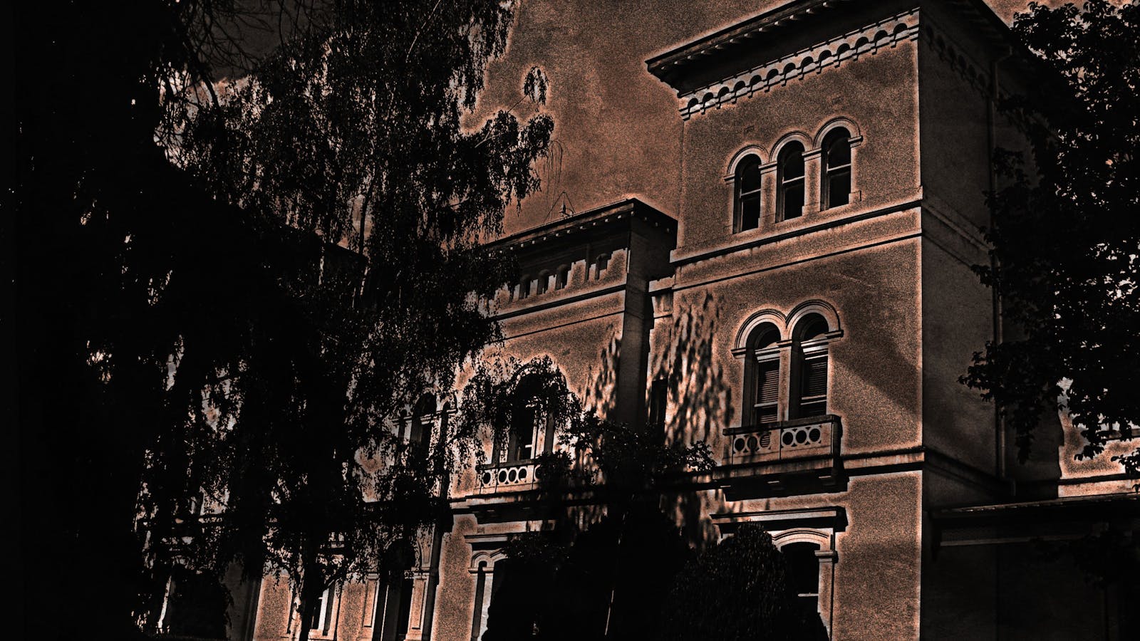Asylum Ghost Tours