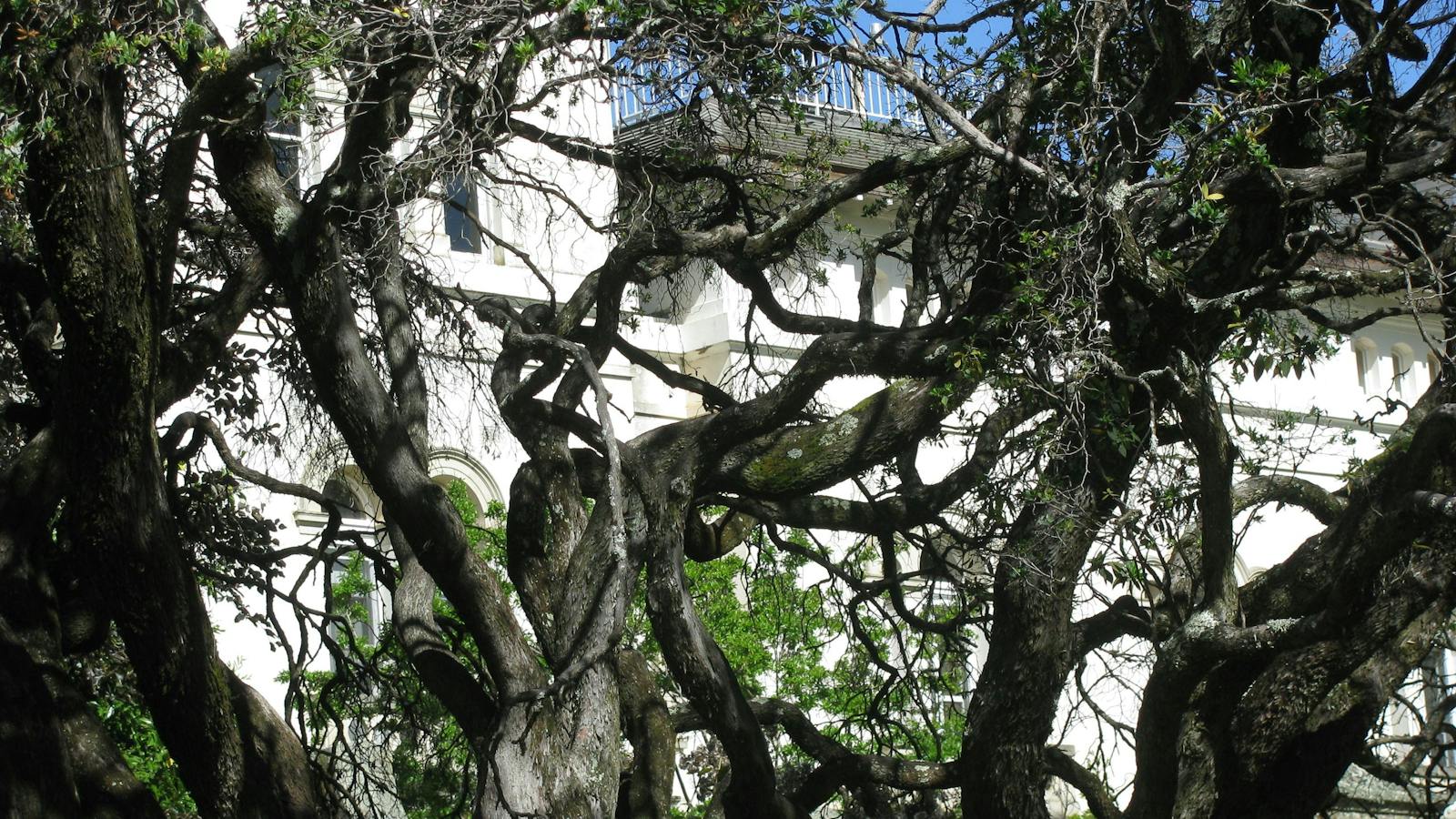 Asylum Ghost Tours