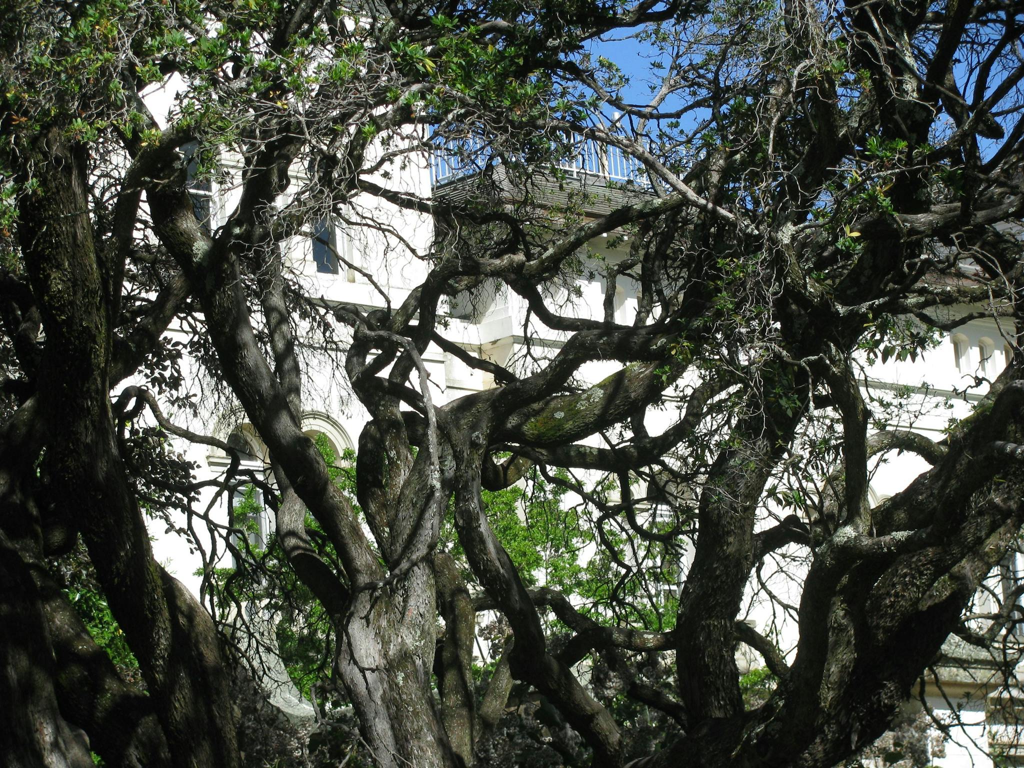 Asylum Ghost Tours