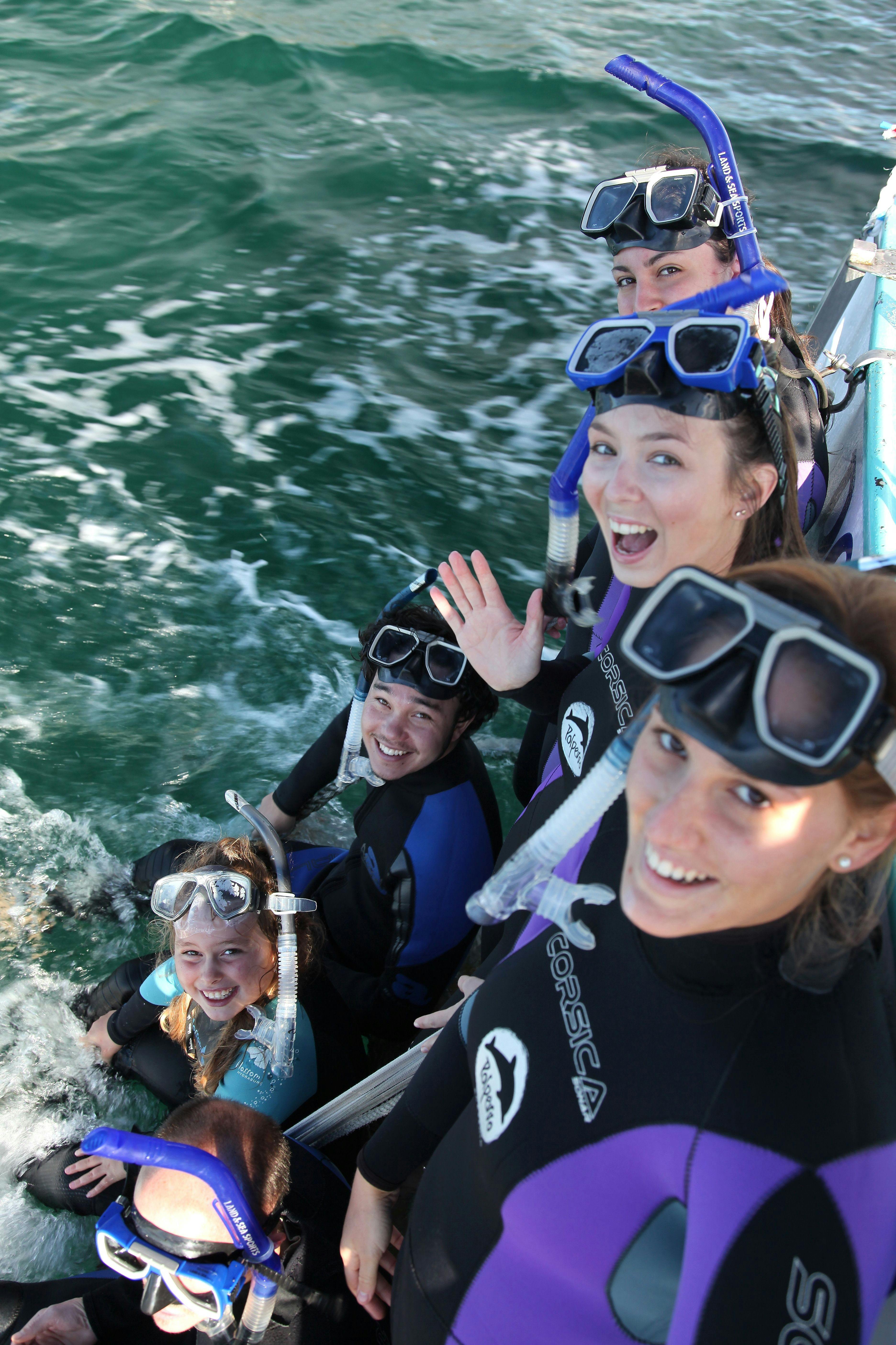 Polperro Dolphin and Seal Swims