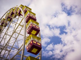 Giant Ferris Wheel - Hi Lite Amusements