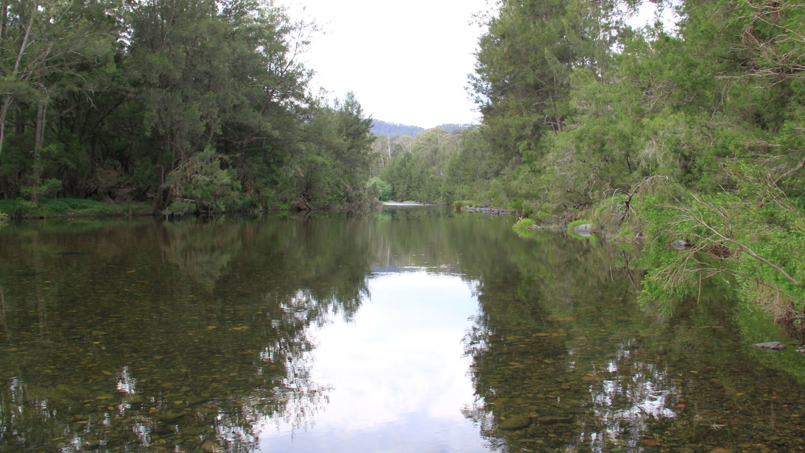 Riverside Campground and Picnic Area
