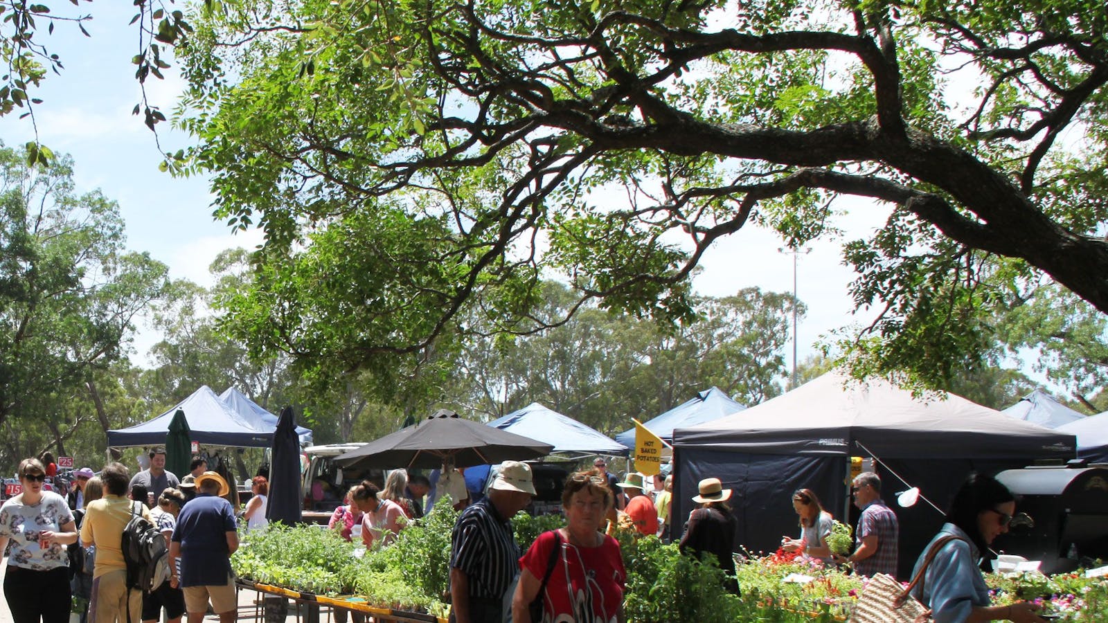 Violet Town  Community Market